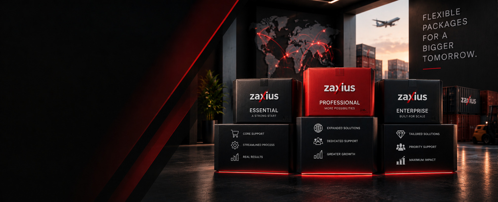 Zaxius Service Packages